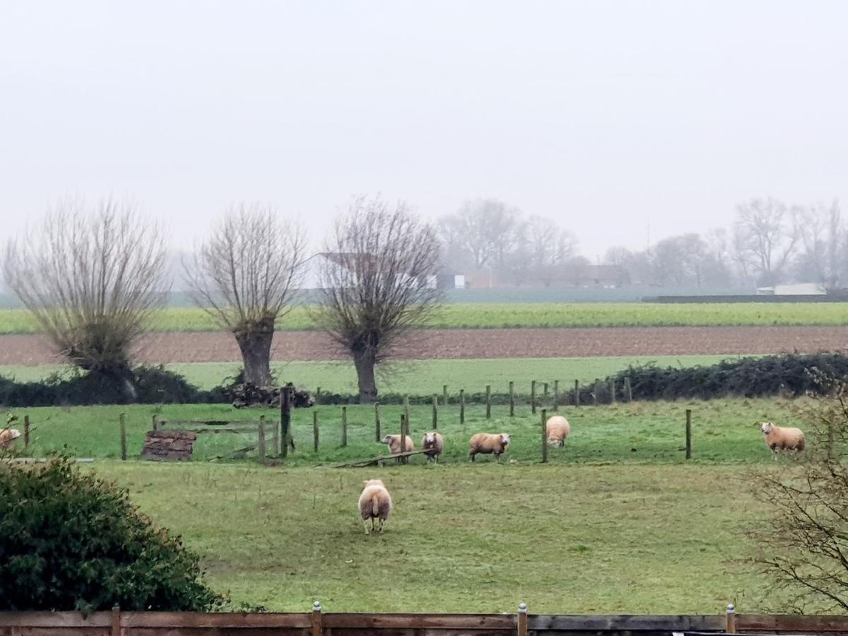 Luppolo vakantiehuis Westhoek Alveringem Buitenkant foto