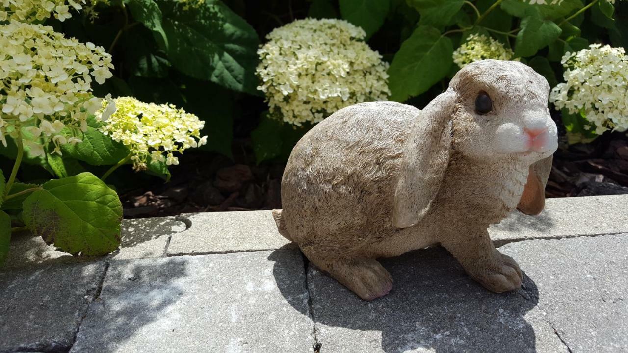 Luppolo vakantiehuis Westhoek Alveringem Buitenkant foto